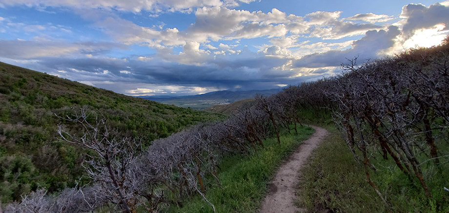 Traverse Mountain Landscape 3